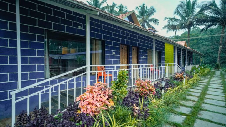 WhatsApp Image 2025-11-07 at 21.05.37_0a8af64d